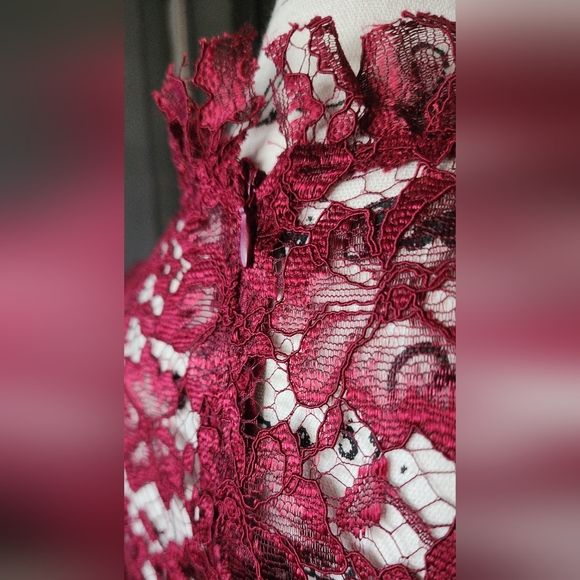 Enfocus Studio Red Lace Midi Dress - Picture 7 of 9